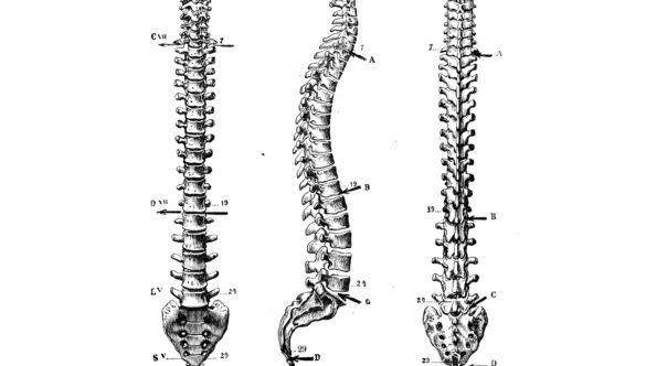 Wirbelsäule & Schmerz – Prävention & Rehabilitation